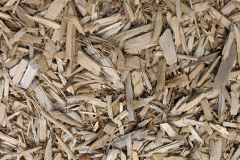 biomass boilers Thorpe Thewles